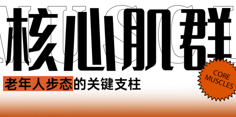 核心肌群公众号